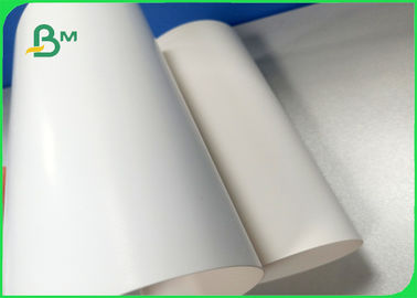 Breite 700 × 1000 mm Gute Glatzheit 270 gm 300 gm 350 gm Elfenbeinkarton für Verpackungen