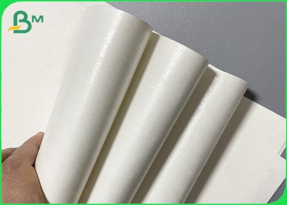Beschichtung PET 280GSM 15g lamellierte wasserdichtes Cupstock-Papier für Mitnehmerschale