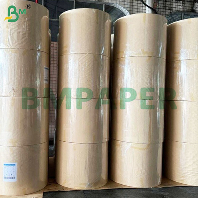 190+10gsm PE-beschichtete Becherpapierrollen für Papierbecher und -schalen