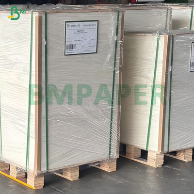 Hochölbeständiges 20 g/m² 24 g/m² PE-beschichtetes Nudelsuppenpapier für heiße Suppen