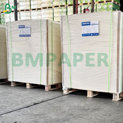 300 gm hohe Steifigkeit Nahrungsmittelqualität Noodle Basis Schüssel Papierblätter