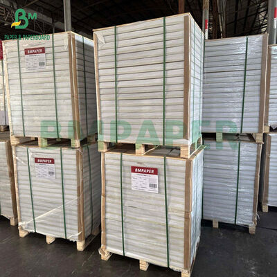 1,6mm 1,7mm 1,8mm reine Holzzellstoff-Weiß-Saugpapier für Becher-Untersetzer 66 x 106cm