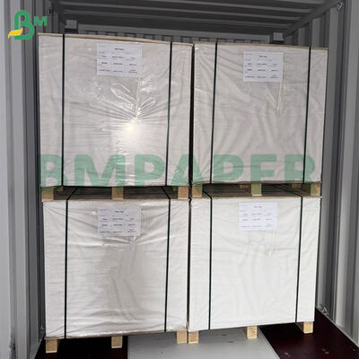 300 g/m² beidseitig gestrichenes Kunstdruckpapier in Jumbo-Rollen, 38 Zoll Breite